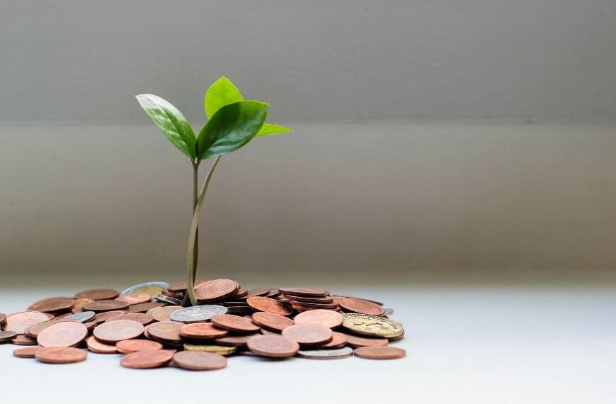 pile of money with a small plant sprout growing out of it