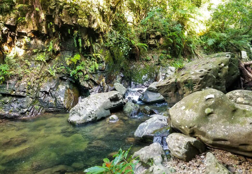 Large rocks and a small clear water pool in the forest