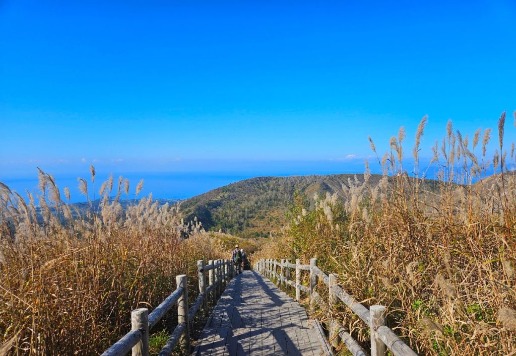 A boardwalk trail towards the crater