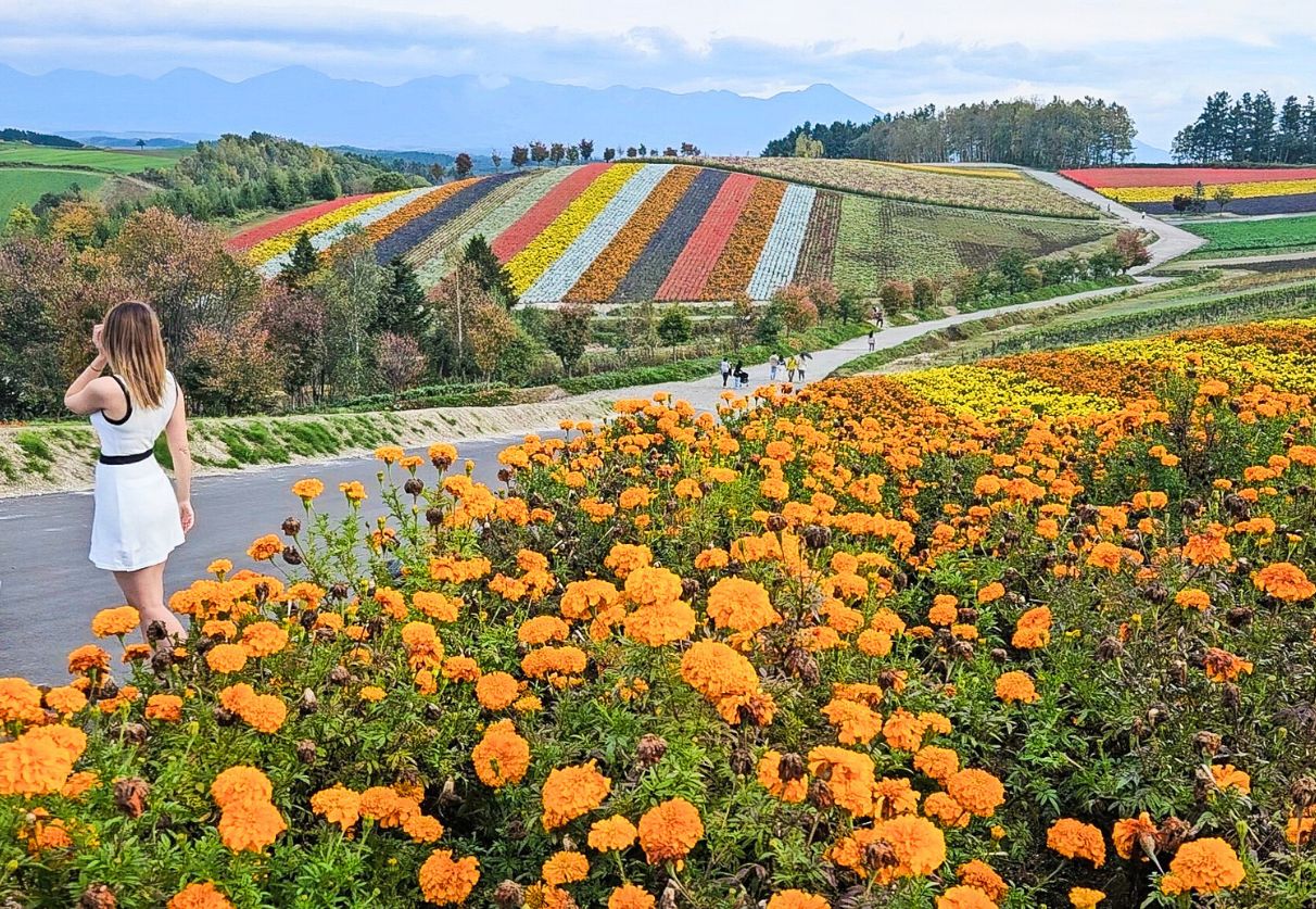Unmissable Day trips from Sapporo, Hokkaido, Japan