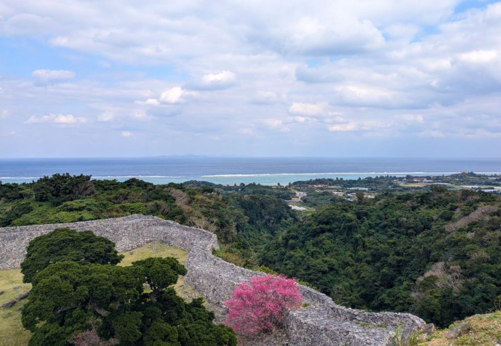 a view of the Okinawa western coast with a cherry blossom tree and the stone rocks