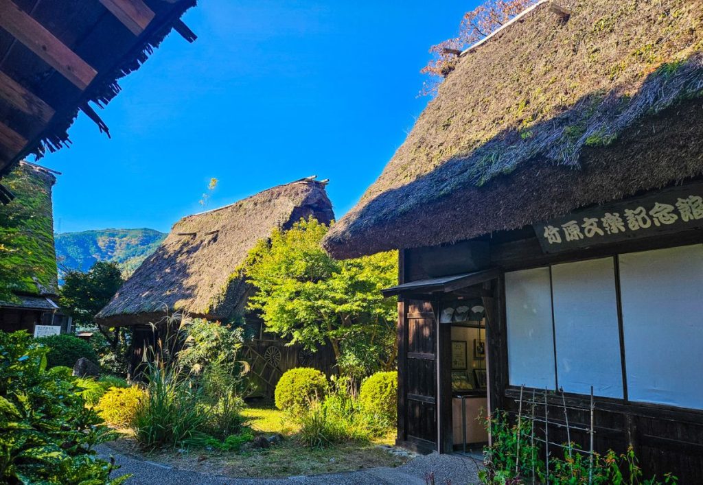 Two of the thatched-roof properties in the village
