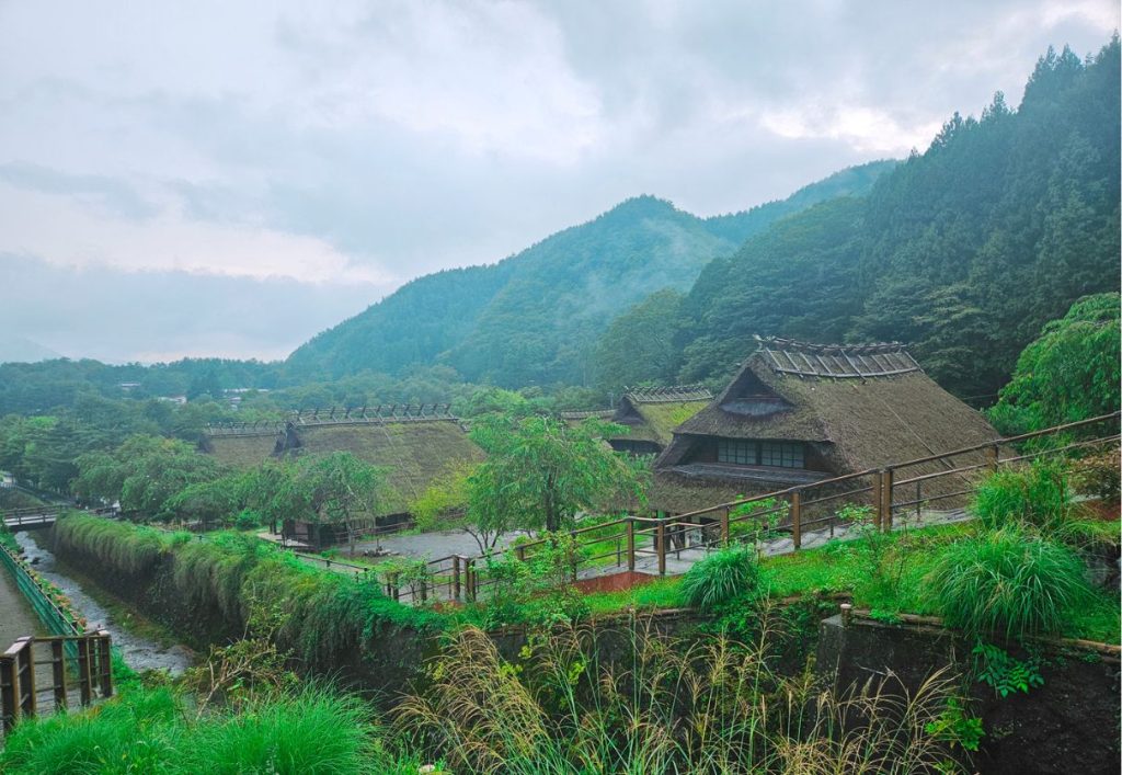 Luscious greenery surrounding the many old-fashioned huts in the village
